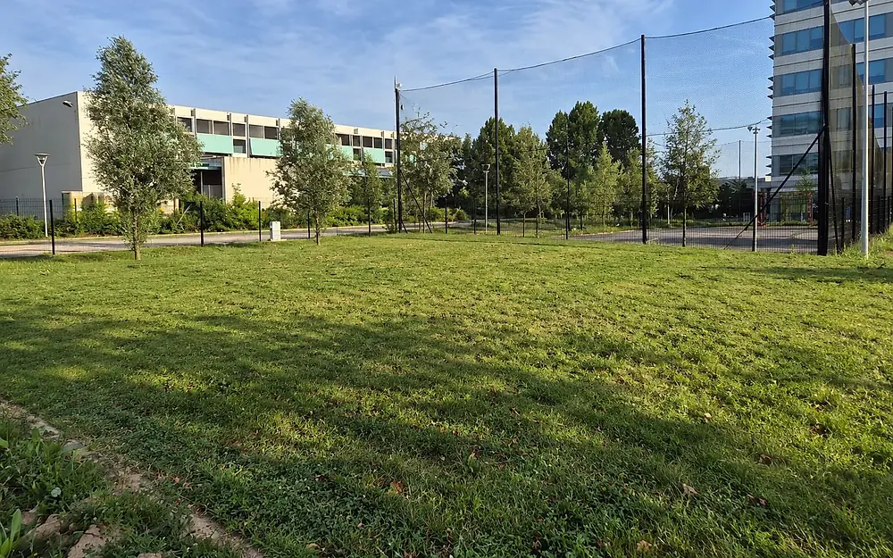 Aire de callisthénie 168 m² et son allée d'accès, avant travaux